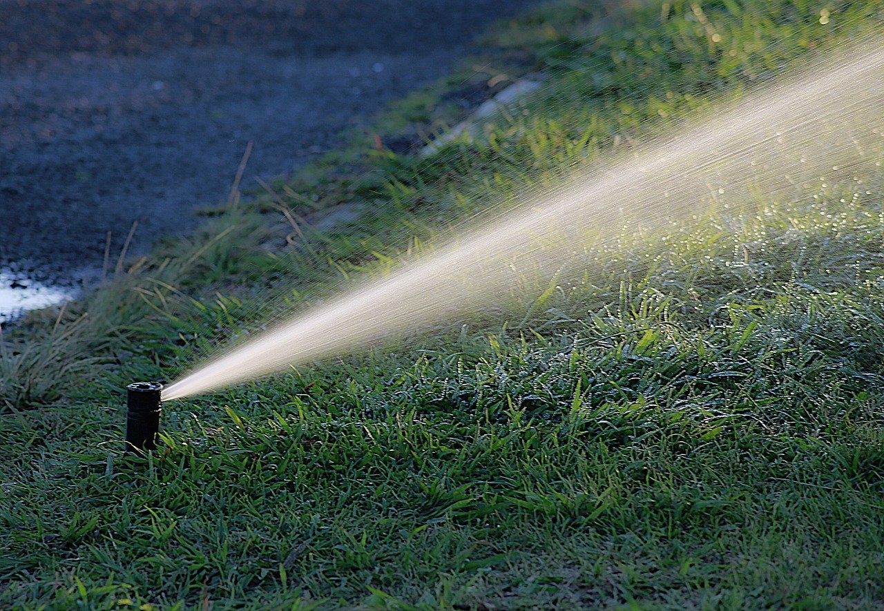 water, watering, garden